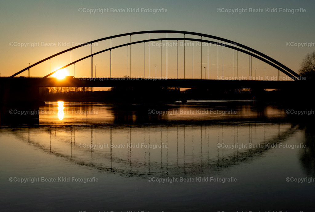 P2100487 | beatekidd-fotografie - Realisiert mit Pictrs.com