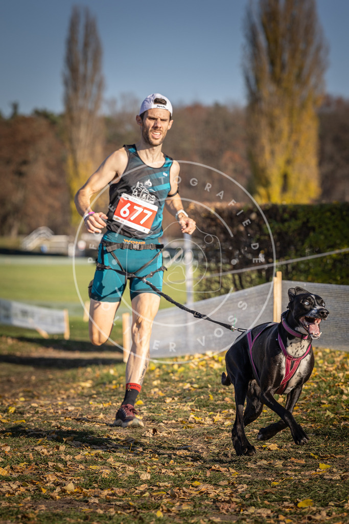 CaniXpix_DV3A0992 | Hundefotografie, Tierfotograf, Pfotenfotografie, Fotoshooting Hund, Hunde Portrait, Hundesport, Hundeportraits, Heideshooting, Hunde, Sportfotograf, Hundefotograf, Turnierhundsport, THS,  - Realisiert mit Pictrs.com