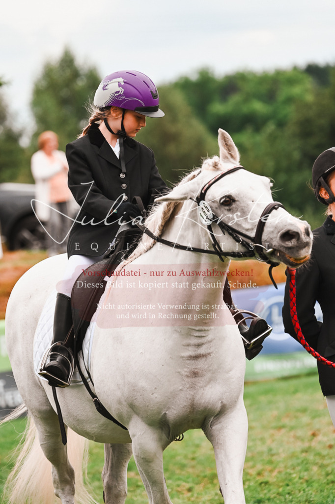 DSC_7392 | Pferde- und Turnierfotografie in Westsachsen. Pferdeportraits, Auftragszeichnungen und intuitive Kunst.