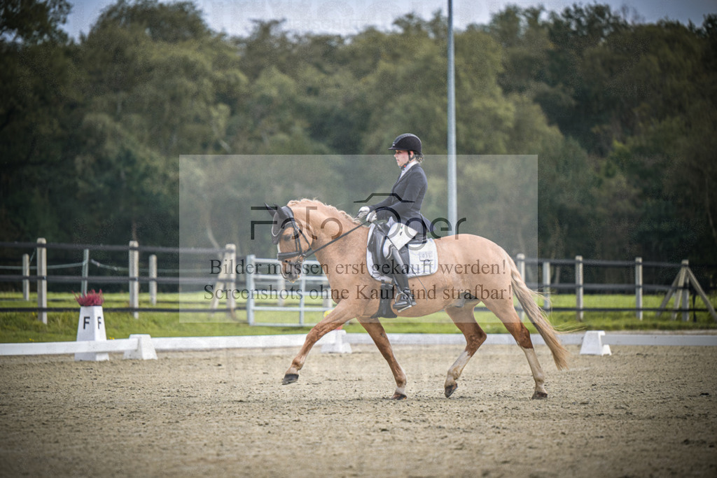 DOS_B538 | Entdecke hochwertige Reitturnierfotos von Foto Oger. Professionell, emotional und authentisch – jetzt Lieblingsmomente im Shop bestellen.Deutschlandweite Turnierfotografie. - Realisiert mit Pictrs.com