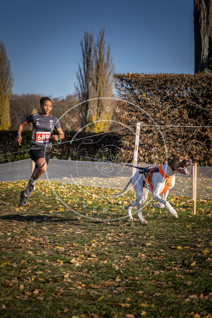 CaniXpix_DV3A1257 | Hundefotografie, Tierfotograf, Pfotenfotografie, Fotoshooting Hund, Hunde Portrait, Hundesport, Hundeportraits, Heideshooting, Hunde, Sportfotograf, Hundefotograf, Turnierhundsport, THS,  - Realisiert mit Pictrs.com