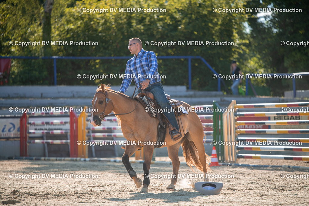 EWP_7045 | dv-media-shop - Realisiert mit Pictrs.com