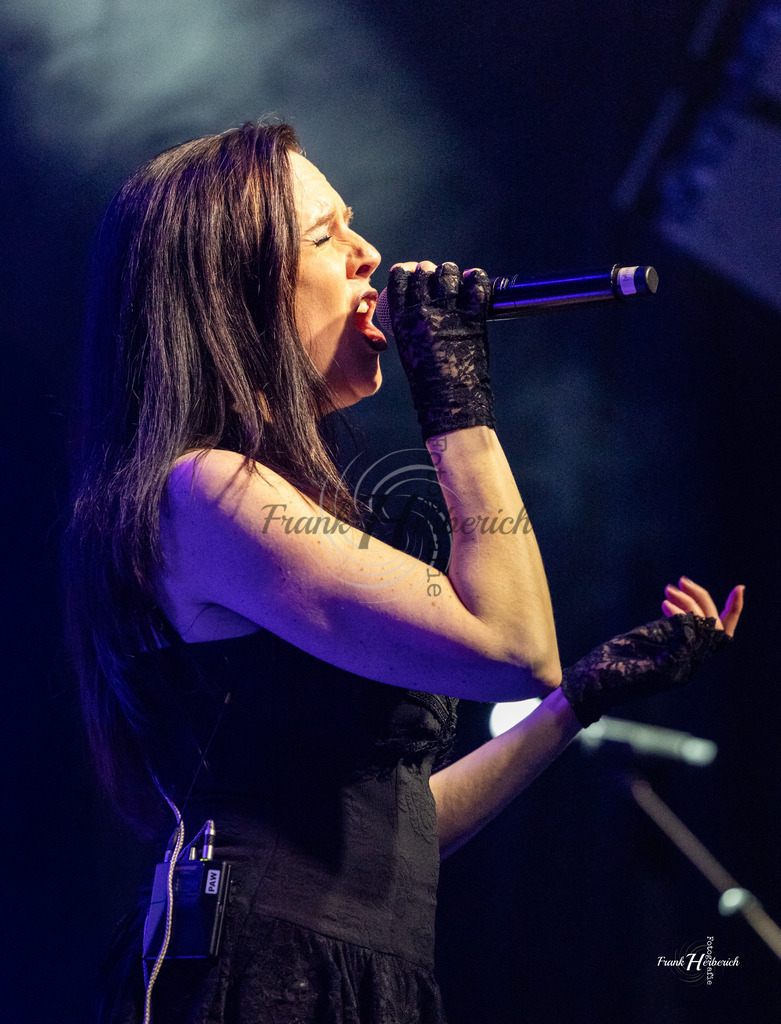 A Night In Temptation 07.02.2026 Geiselwind  | Frank Herberich Fotografie, Frank Herberich, Fotografie, Hochzeit, Portrait, St. Peter Ording, Ording, Westerhever, Nordsee, Frank Fotografie, Hardheim,  Odenwald,Walldürn, Band,Eventfotografie - Realisiert mit Pictrs.com
