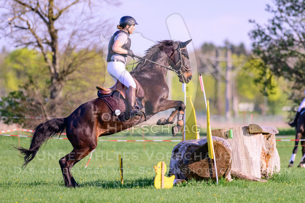 18042026-Gernlinden-04-2-0341 | Fokus Hufschlag Fotografie - Realisiert mit Pictrs.com