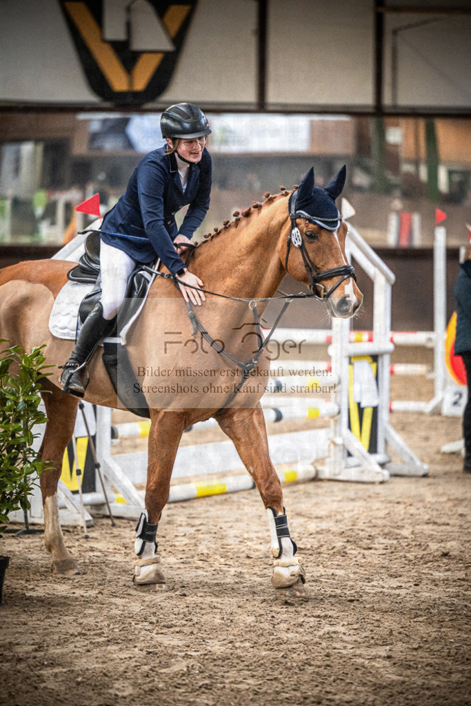 DOS_0886 | Entdecke hochwertige Reitturnierfotos von Foto Oger. Professionell, emotional und authentisch – jetzt Lieblingsmomente im Shop bestellen.Deutschlandweite Turnierfotografie. - Realisiert mit Pictrs.com