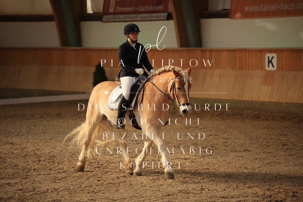 IMGT2005 | pl-fotografie