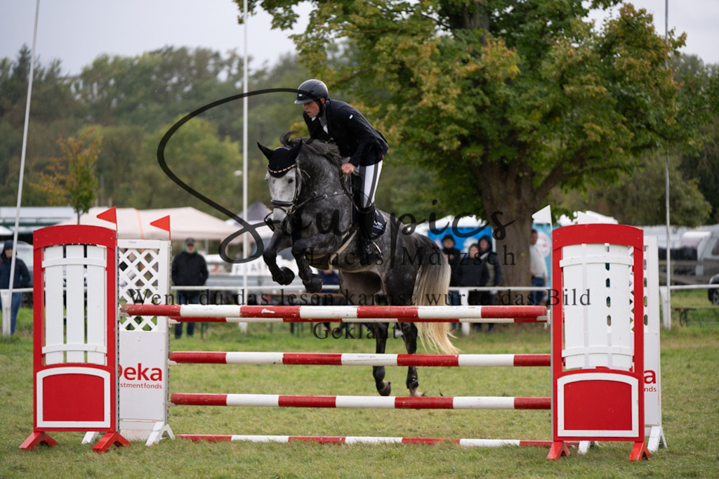 A7V07518 | Pferdefotograf