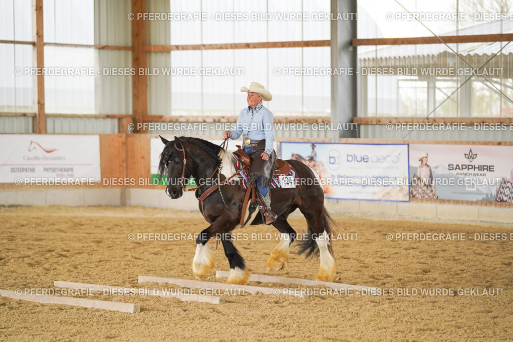 DSC04284 | Pferdegrafie