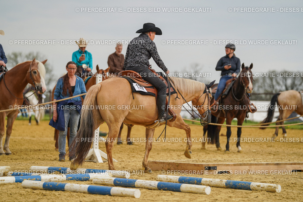 DSC02271 | Pferdegrafie