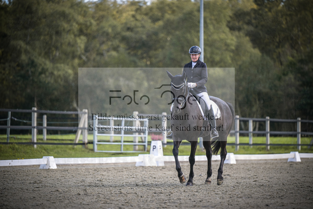 DOS_0745 | Entdecke hochwertige Reitturnierfotos von Foto Oger. Professionell, emotional und authentisch – jetzt Lieblingsmomente im Shop bestellen.Deutschlandweite Turnierfotografie. - Realisiert mit Pictrs.com
