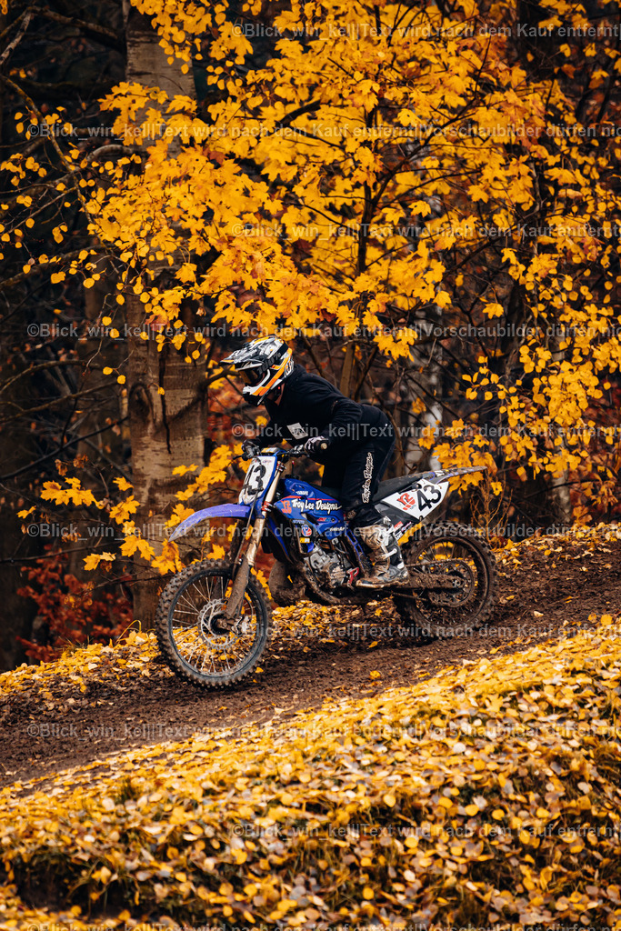 E68A4616 | blick_win_kel