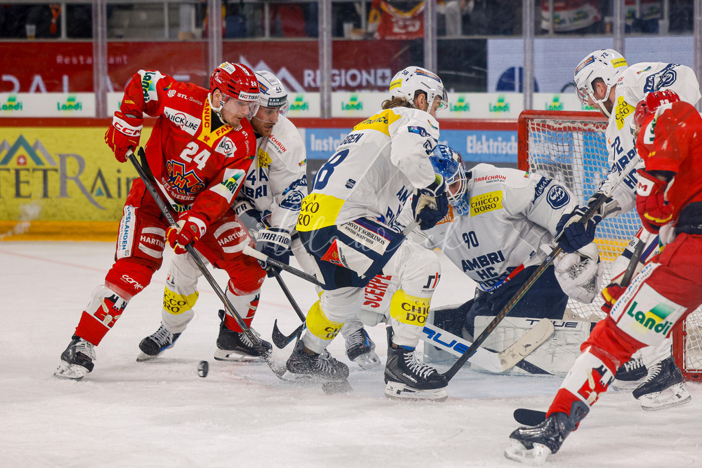 EHCB vs HCAP 20260115_wb-4591 | Sportbilder, Sportfotograf, Hochzeits- und Eventfotografin, Flugshows, Portraits und Tiershooting, Aviation, Downhill, Nationalleague, Swissleague, International