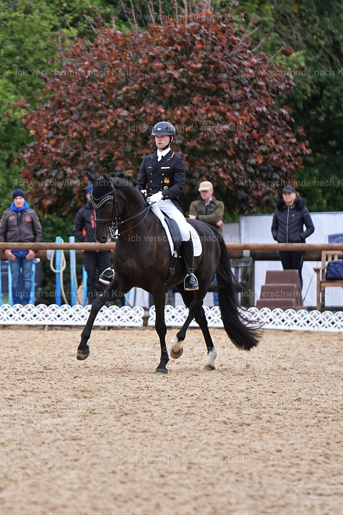 12-229-DRESSUR  S___  -Marixx-5238 | working equitationturnier fotograf videograf stoibphotography marixx film working equitation deutschland reitsport turnierfotografie eventfotografie equestrian events
