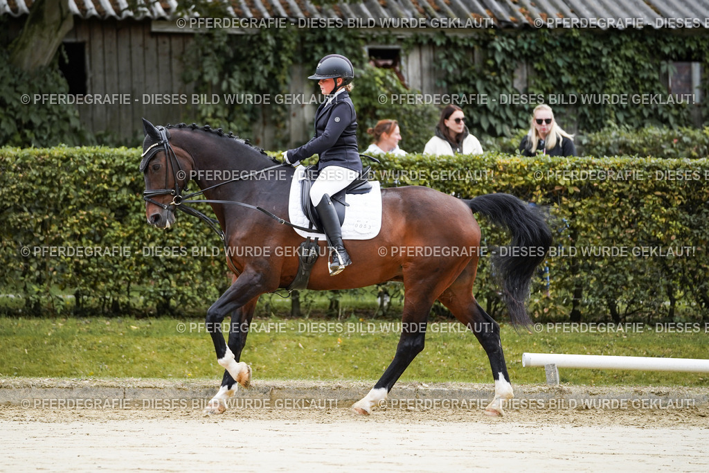 DSC04710 | Pferdegrafie