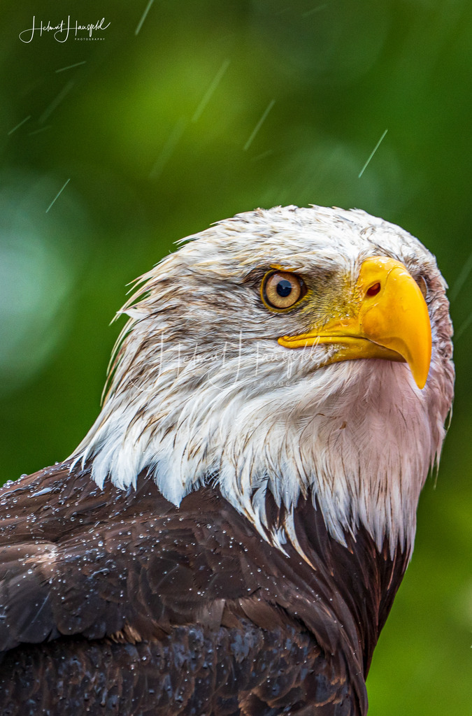 DSC08694 | Landschaftsfotografie, Naturfotografie - Realisiert mit Pictrs.com