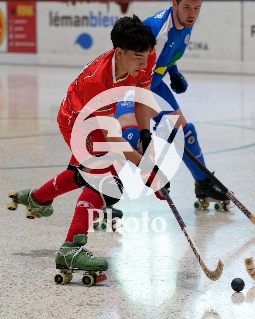 DSC_6612 | Velletri Photo