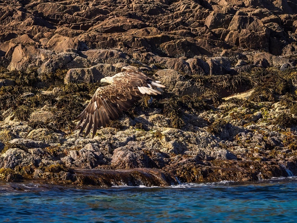 P1001644-LR-topaz-denoise-enhance | Natur im Moment - Realisiert mit Pictrs.com