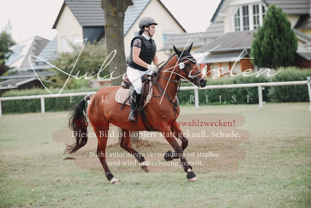 DSC_5714 | Pferde- und Turnierfotografie in Westsachsen. Pferdeportraits, Auftragszeichnungen und intuitive Kunst.