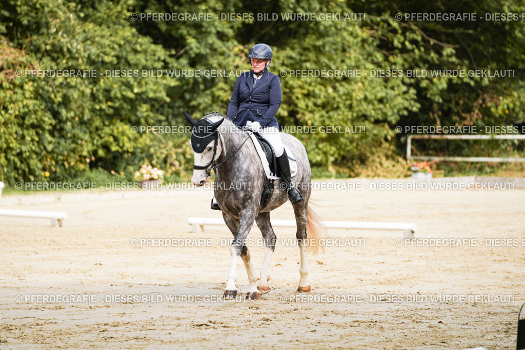 DSC01537 | Pferdegrafie