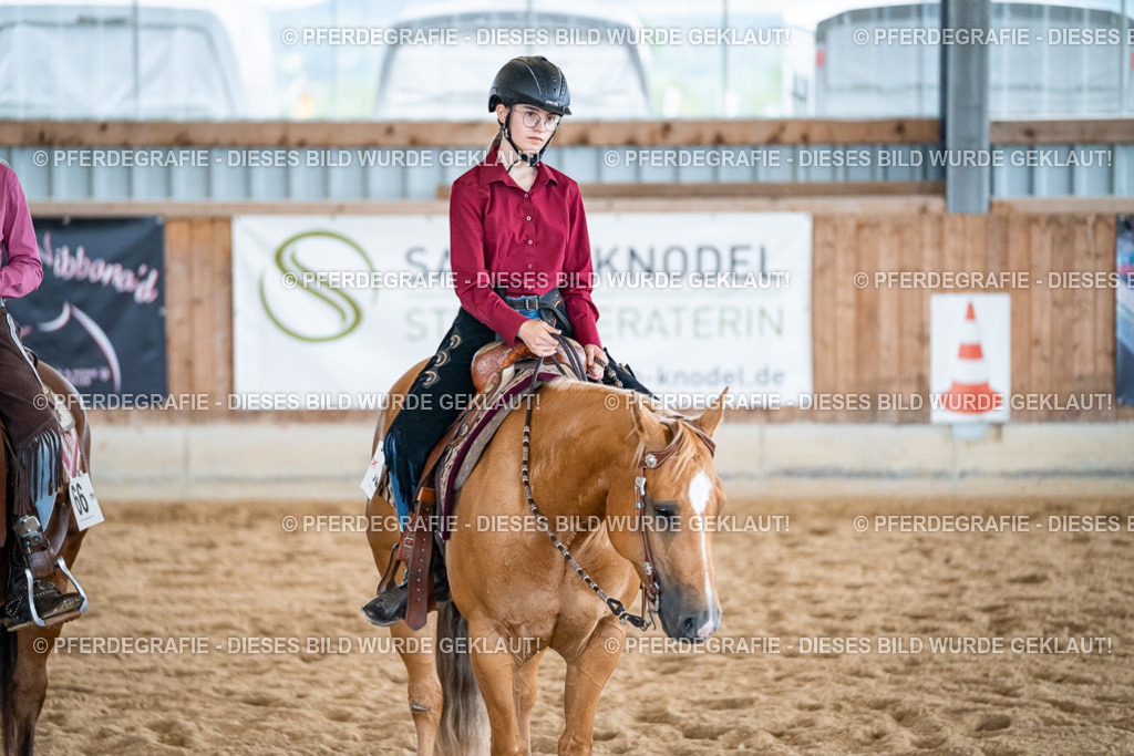 DSC01375 | Pferdegrafie