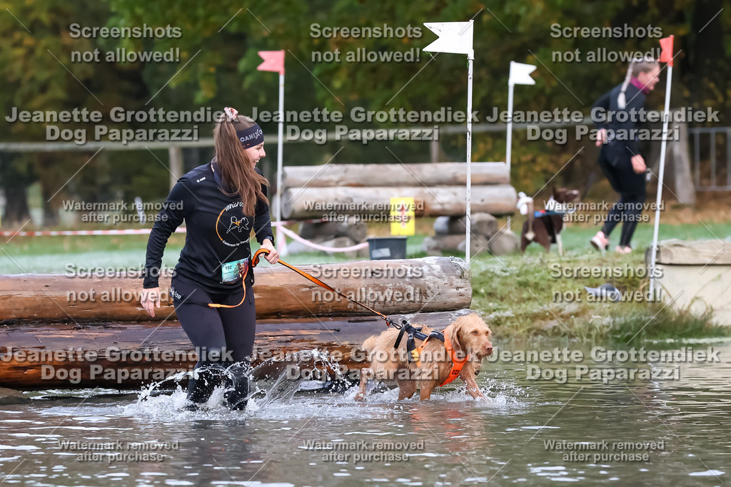 Dog Paparazzi - Strongdog 10-25-6222 | Dog Paparazzi Jeanette Grottendiek Fotografie & Videografie - Realisiert mit Pictrs.com