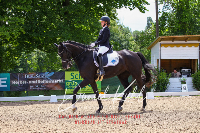 DKP40981 | Turnierfotos kaufen im Webshop von Daniel Kuhl Photography – entdecke professionelle Reitsportfotos aus Turnieren & Events. Hochwertige Turnierbilder online bestellen & sichern. Jetzt Fotos von Reitsportturnieren kaufen!