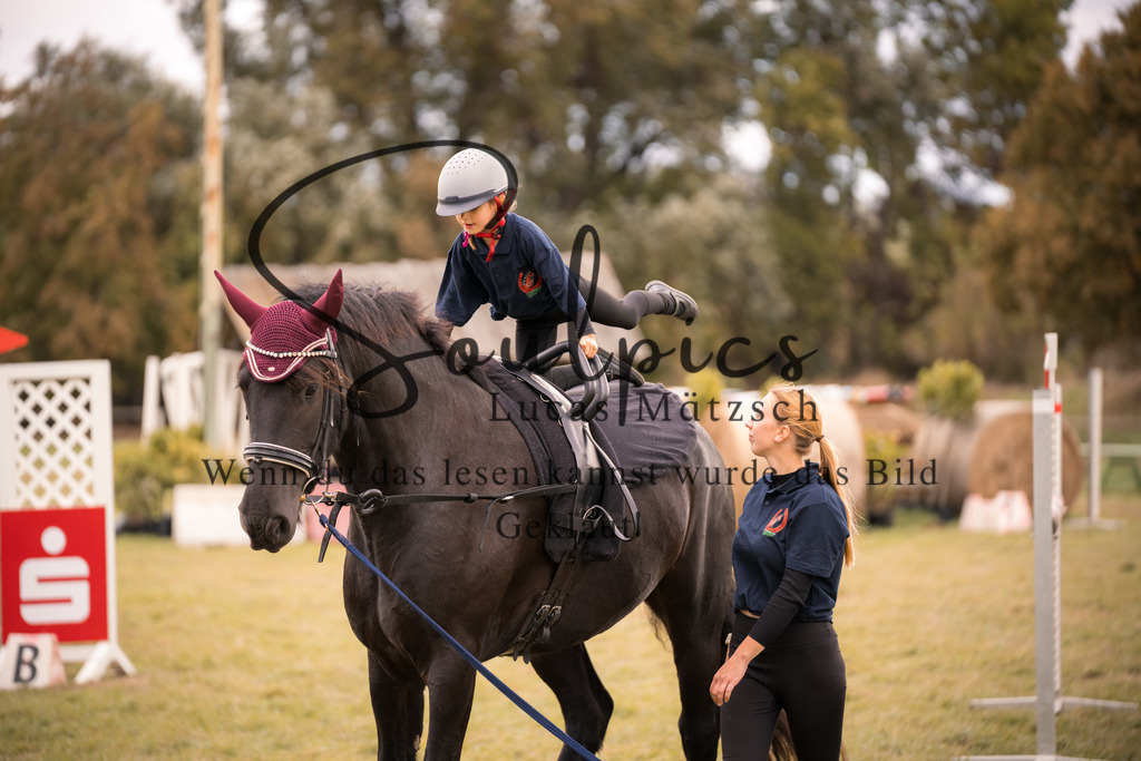 A7V07218 | Pferdefotograf