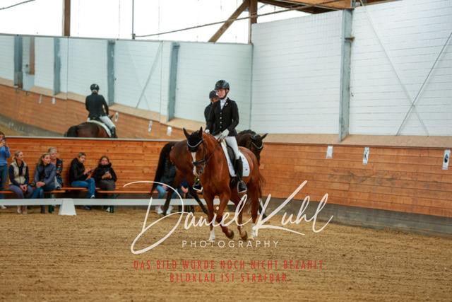 _62_5098 | Turniersportfotografie; Pferdefotografie; Dressurfotografie