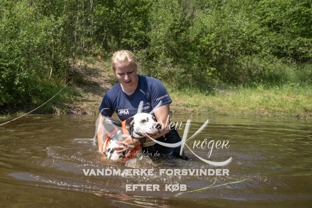 1329DKK994222 | kk-dogfotos