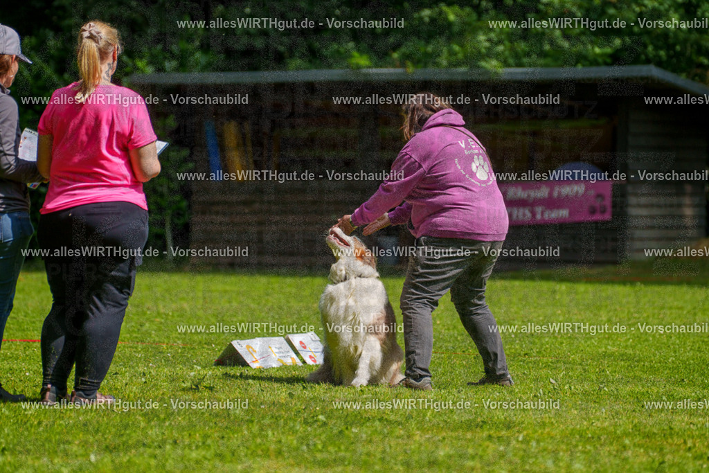 @allesWIRTHgut_Tierfotografie - www.allesWIRTHgut.de - 7R503282 | Professionelle Tierfotografie in Mönchengladbach von Daniel Wirth (allesWIRTHgut). Liebevolle & natürliche Bilder von Hunden & Katzen für unvergessliche Erinnerungen.