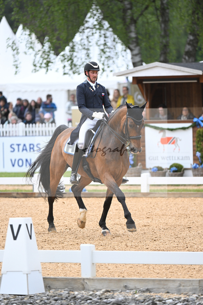 Bugan_For President Awo_11232598 | hf-fotografie - Realisiert mit Pictrs.com