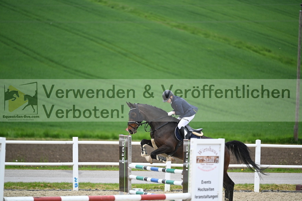 DSC_0054 | equestrian-live-com