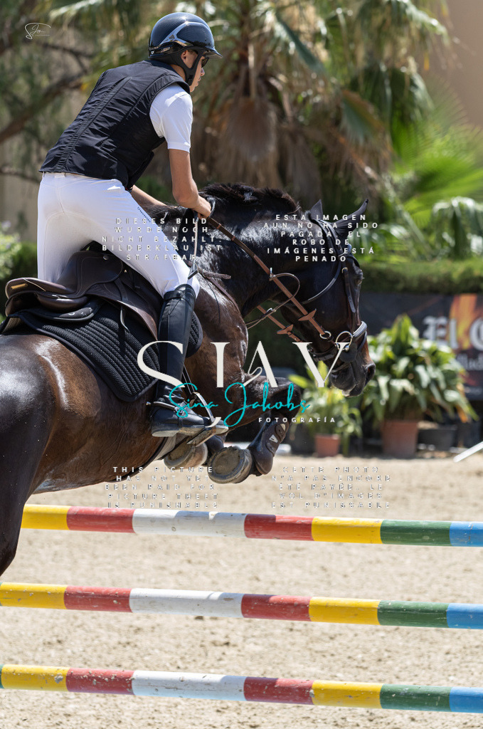 IMG_7797 | s-jay-photography - Realisiert mit Pictrs.com