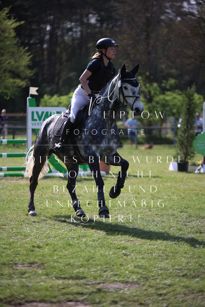 IMGT9127 | pl-fotografie