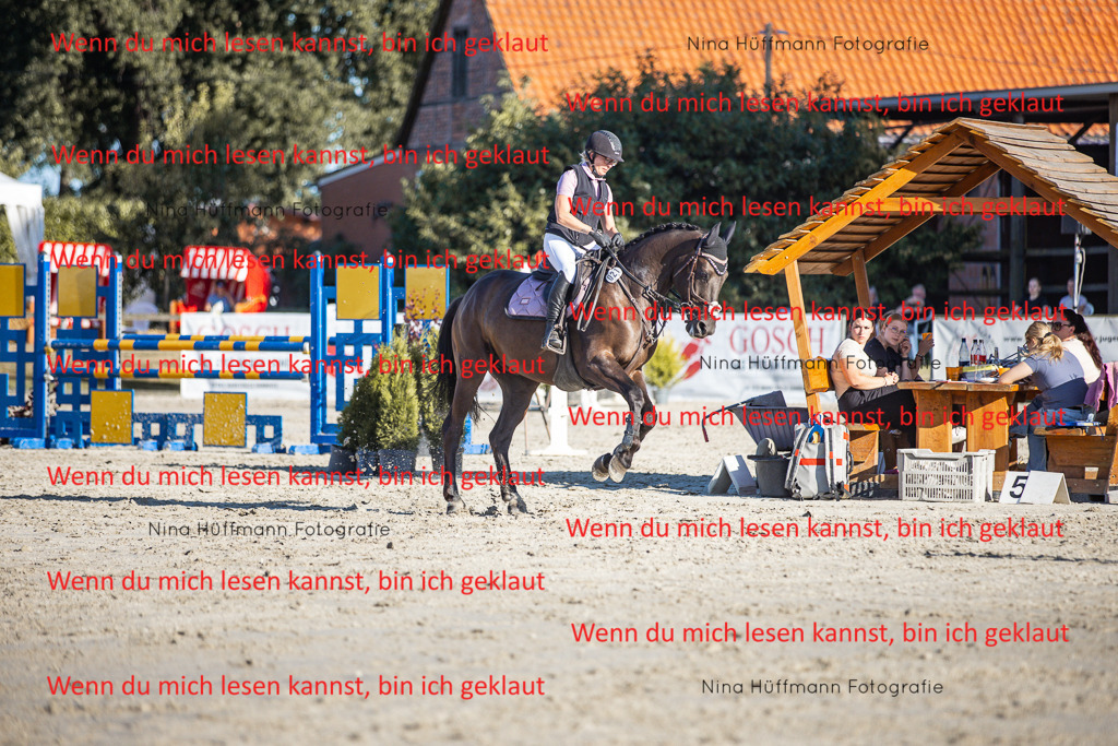 BK1A7720 | Turnierbilder Turnierfotos Nina Hüffmann Turnierfotografie Pferdefotografie Tierzeichnung Haustierzeichnung Pferdezeichnung Hundezeichnung Videograf  - Realisiert mit Pictrs.com