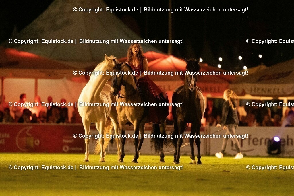 20230526_Pferdenacht_1501 | equistock
