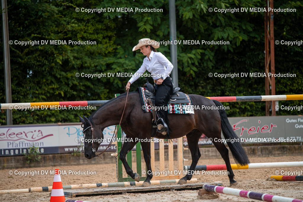 ZS3_9211 | dv-media-shop - Realisiert mit Pictrs.com