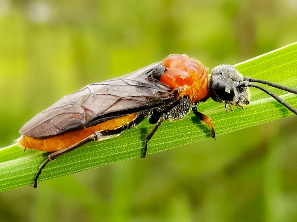 PSX_20230517_225307 | mtkfoto_ - Realisiert mit Pictrs.com