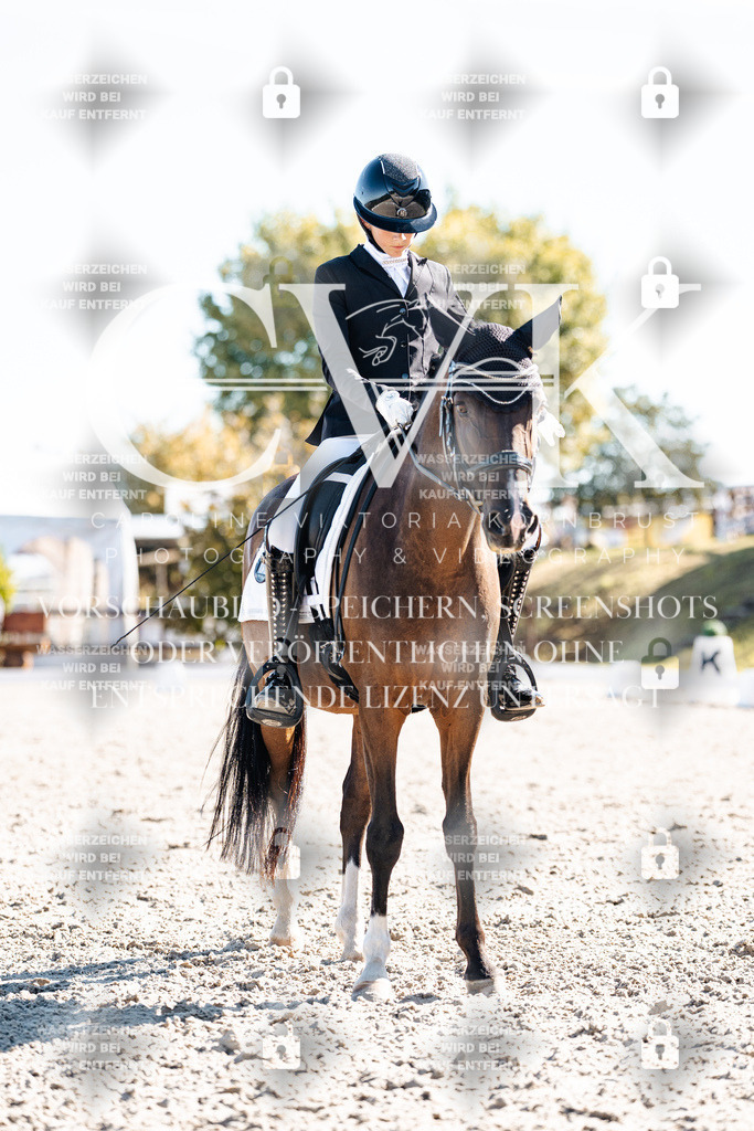 CK908595 | Turnierfotografie Pferdefotografie Trier Rheinland-Pfalz Pferdesport Reitsport Tierfotografie Sportfotografie Pferdevideo Pferdevideografie Equestrianvideography equestrianphotography  - Realisiert mit Pictrs.com