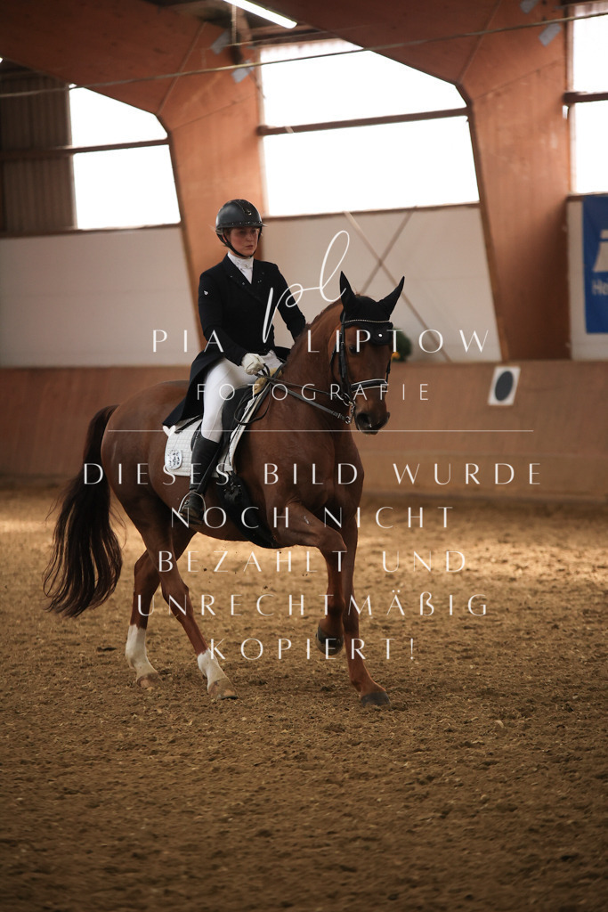 IMGT5049 | pl-fotografie