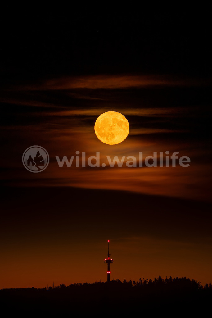Vollmond über Funkturm | Vollmond über der Hohen Wurzel zwischen Taunusstein und Wiesbaden - Realisiert mit Pictrs.com