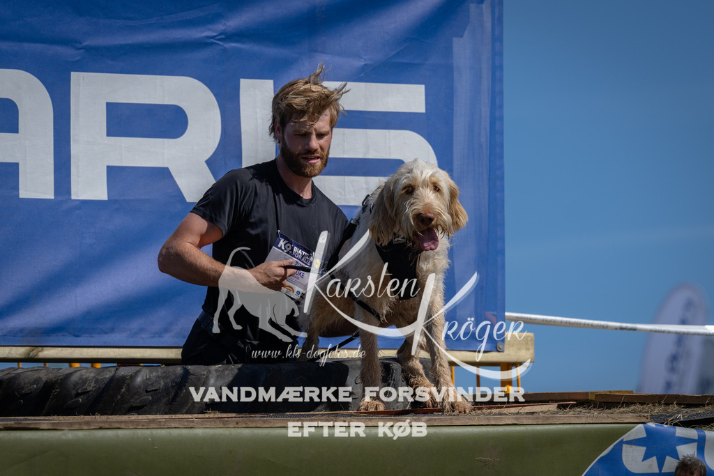 1147_ZZ92443 | kk-dogfotos