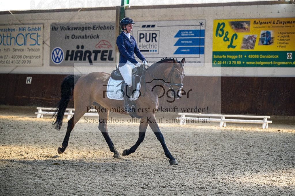 Reitturnier Voxtrup | Entdecke hochwertige Reitturnierfotos von Foto Oger. Professionell, emotional und authentisch – jetzt Lieblingsmomente im Shop bestellen.Deutschlandweite Turnierfotografie. - Realisiert mit Pictrs.com