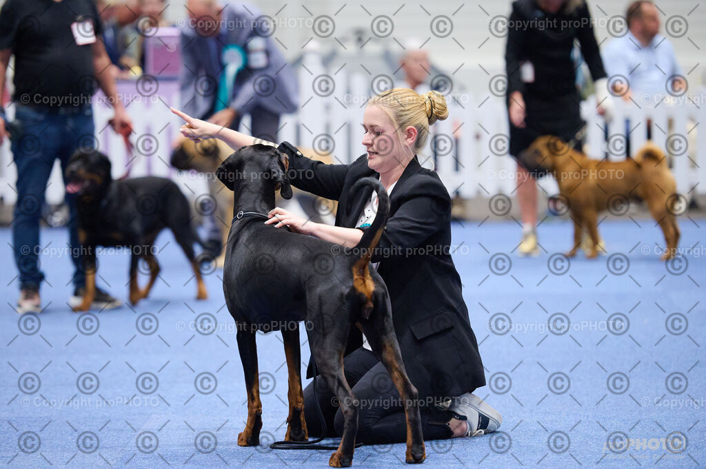 202406_ÖKV-IHA-Tulln24_DSC_2931 | proPHOTO - Realisiert mit Pictrs.com