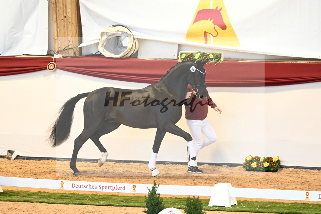 Kat.-Nr. 39 v. Dimaggio Black_Berger und Kopp_2240451 | hf-fotografie - Realisiert mit Pictrs.com