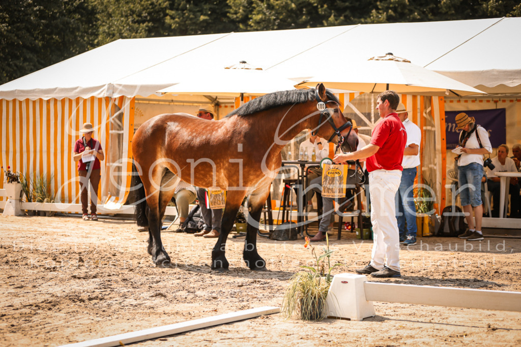 1.Sa00052 | Leoni Ertmer Photography - Realisiert mit Pictrs.com