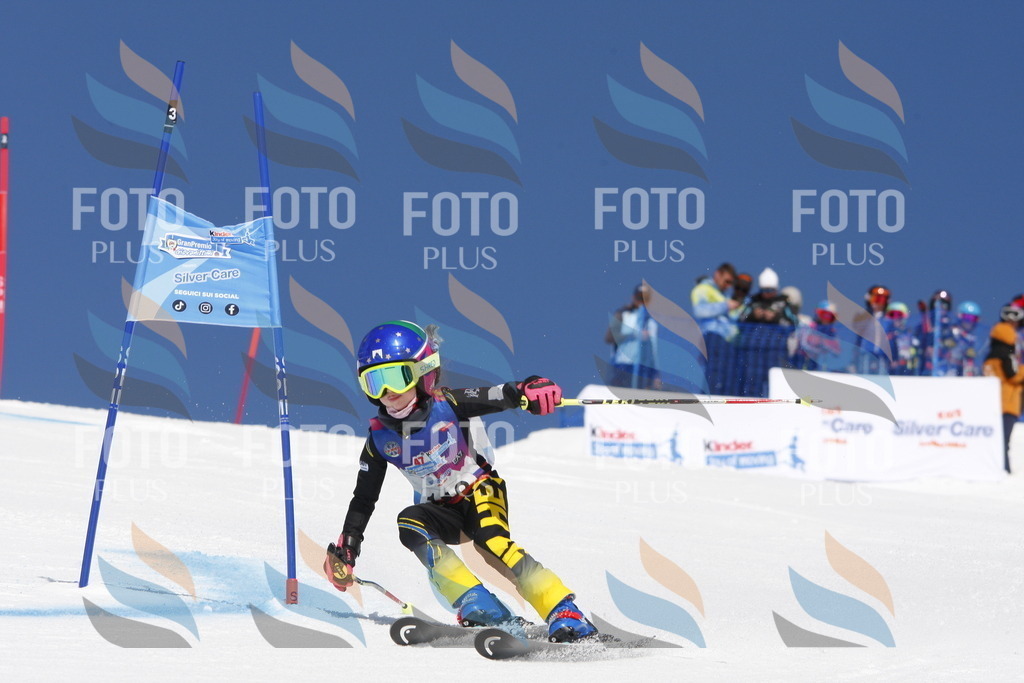 _W1G1680 | holidayphoto