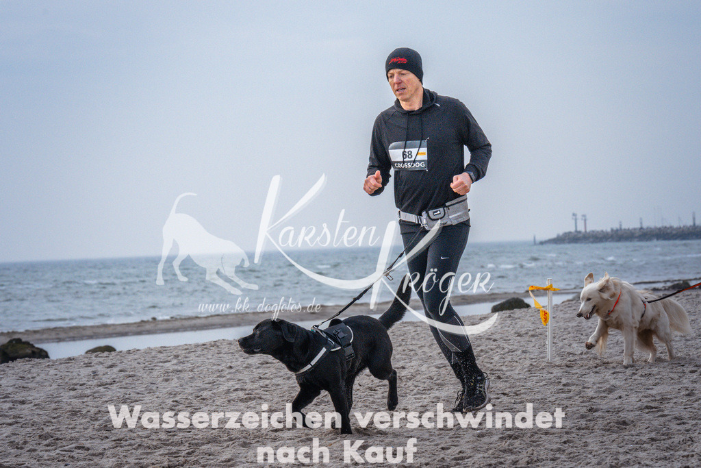 1040_ZZ95847 | kk-dogfotos