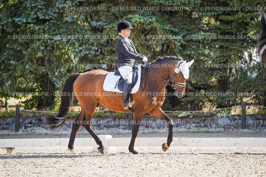 DSC00315 | Pferdegrafie