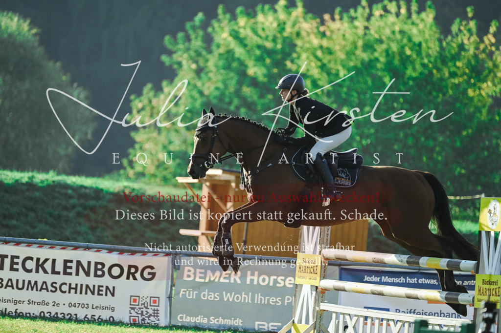 DSC_4300 | Pferde- und Turnierfotografie in Westsachsen. Pferdeportraits, Auftragszeichnungen und intuitive Kunst.